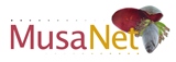 MusaNet Logo